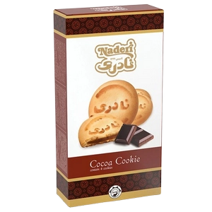 کلوچه جعبه ای شکلاتی 4 عدد نادری