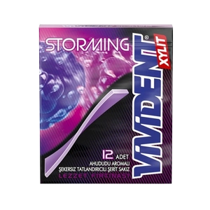 آدامس ویویدنت تمشک استرومینگ 33 گرمی