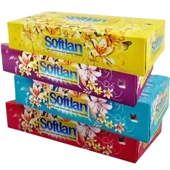 دستمال کاغذی 100 برگ دولایه سافتلن سری باغ بهشت