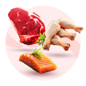 پروتئین مارکت